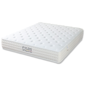 夏洛特『高強度護脊智能型硬式防護』