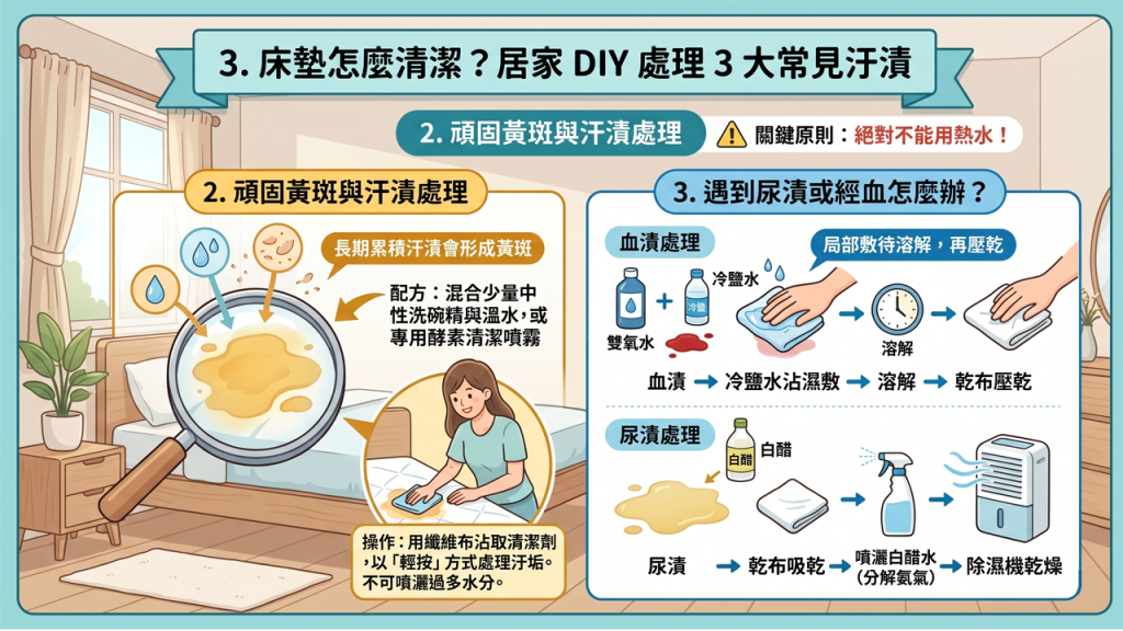 關鍵原則：絕對不能用熱水！蛋白質汙垢遇熱會凝固，從此永久留在纖維中。 血漬處理：使用「雙氧水」或「冷鹽水」沾濕抹布，局部敷在汙處，待汙漬溶解後再以乾布壓乾。 尿漬處理：先用乾布吸乾水分，再使用等比例的「白醋＋水」噴灑，幫助分解氨氣（尿味），最後配合除濕機徹底乾燥。
