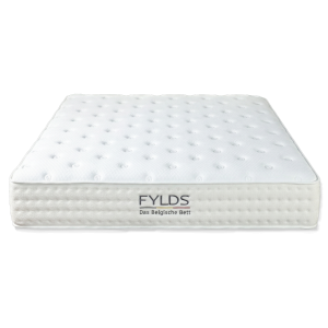 Alternative view of 夏洛特『高強度護脊智能型硬式防護』